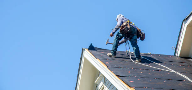 Best Gutter Installation and Roofing  in Fort Dix, NJ